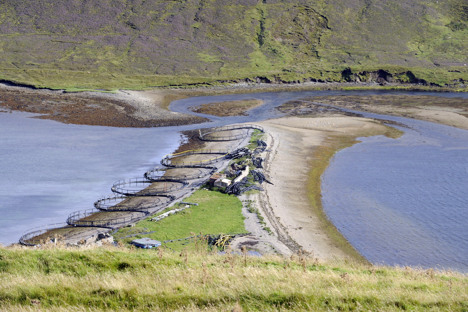 Dolph Kessler - Shetlands & Orkneys 