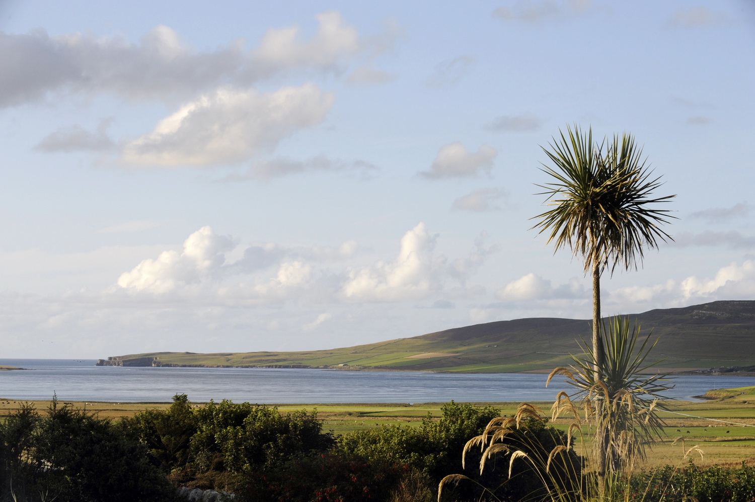 Dolph Kessler - Shetlands & Orkneys 