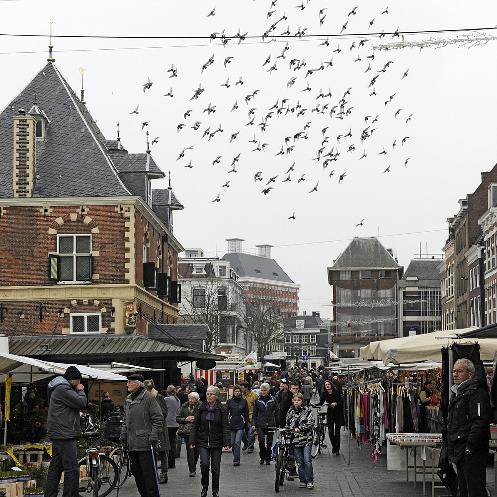 Dolph Kessler - Fotoboek Sjoch dizze sted 2012 