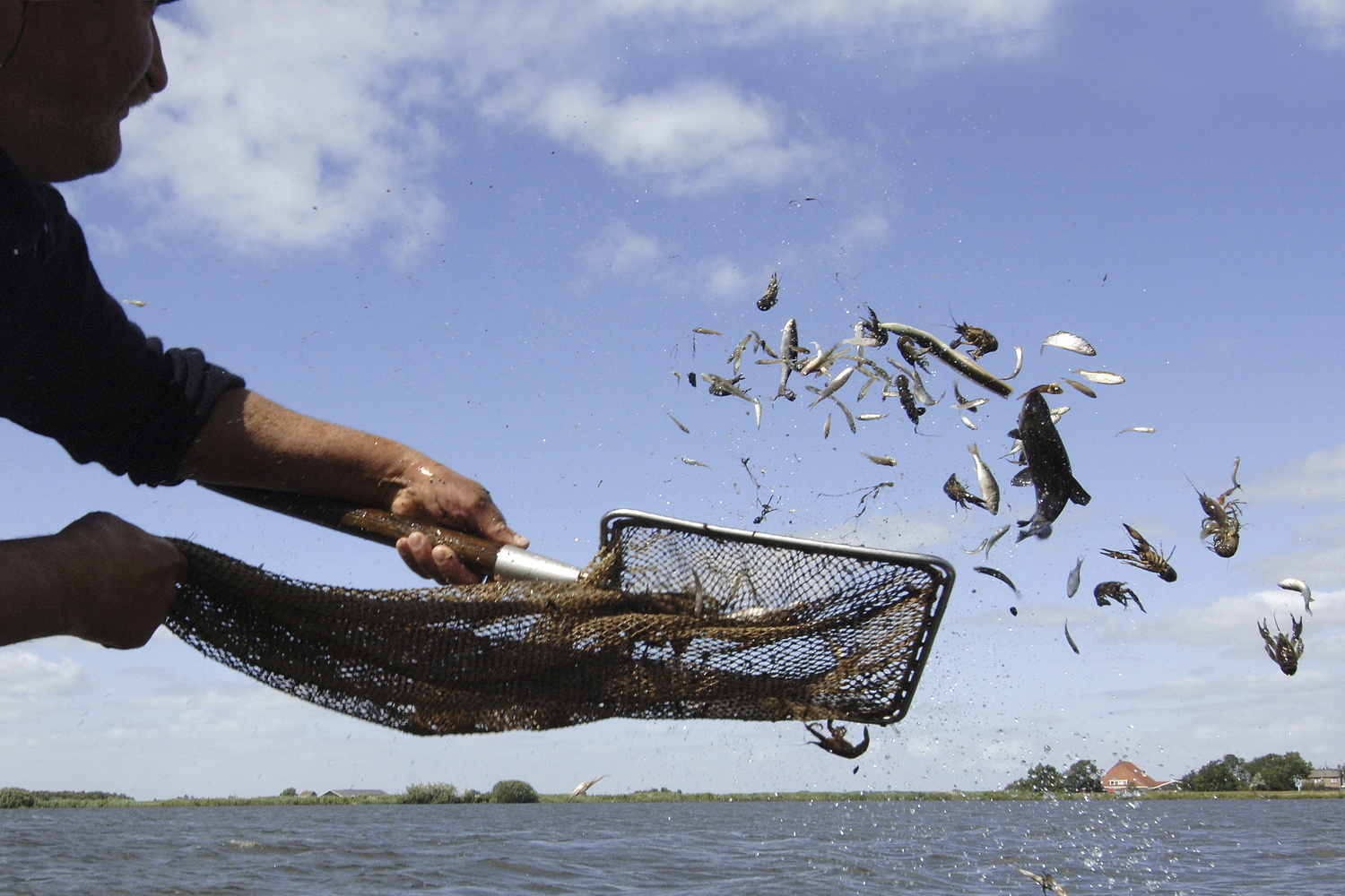 Dolph Kessler - Photobook eelfishers, 2007 