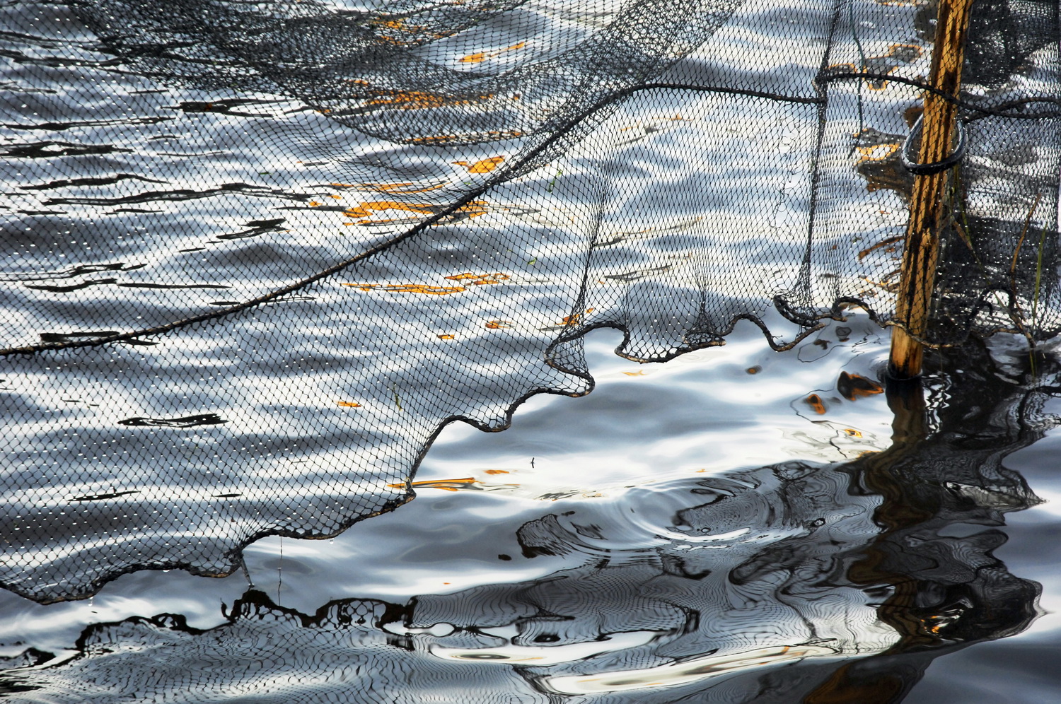 Dolph Kessler - Photobook eelfishers, 2007 