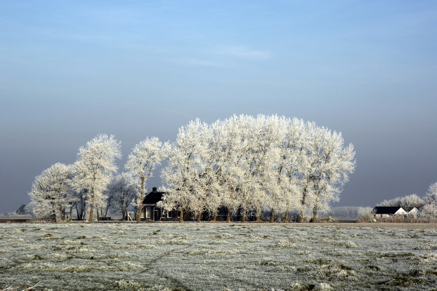 Dolph Kessler - Photobook between Dokkum and the sea - 2008 