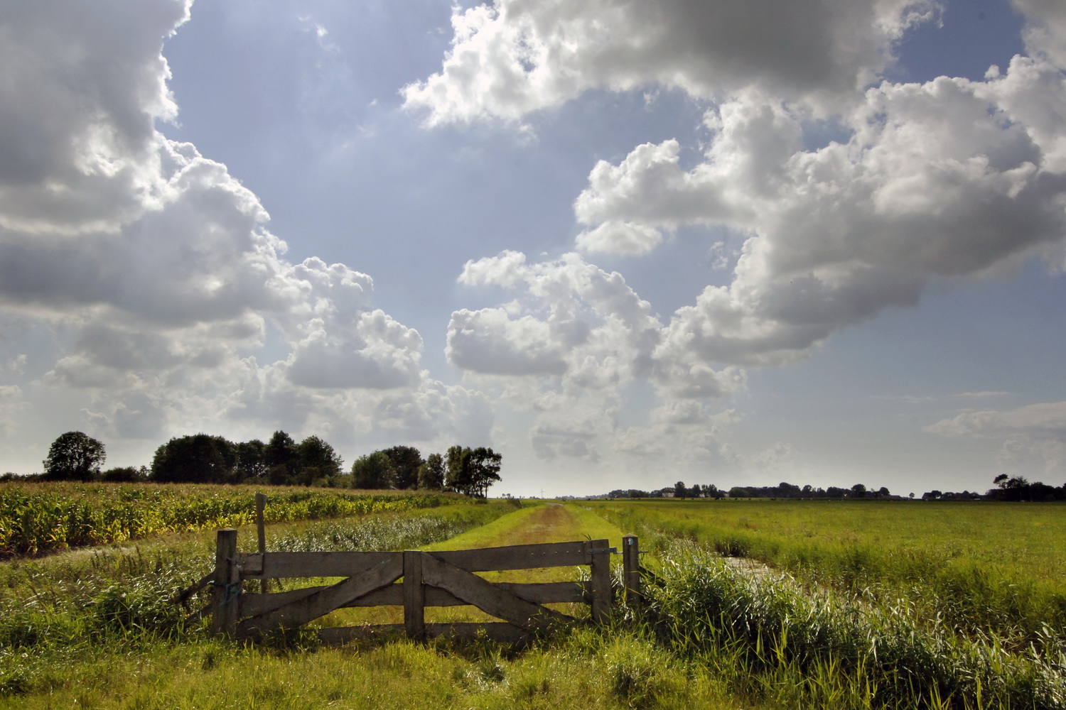 Dolph Kessler - Fotoboek Tussen Dokkum en de zee - 2008 