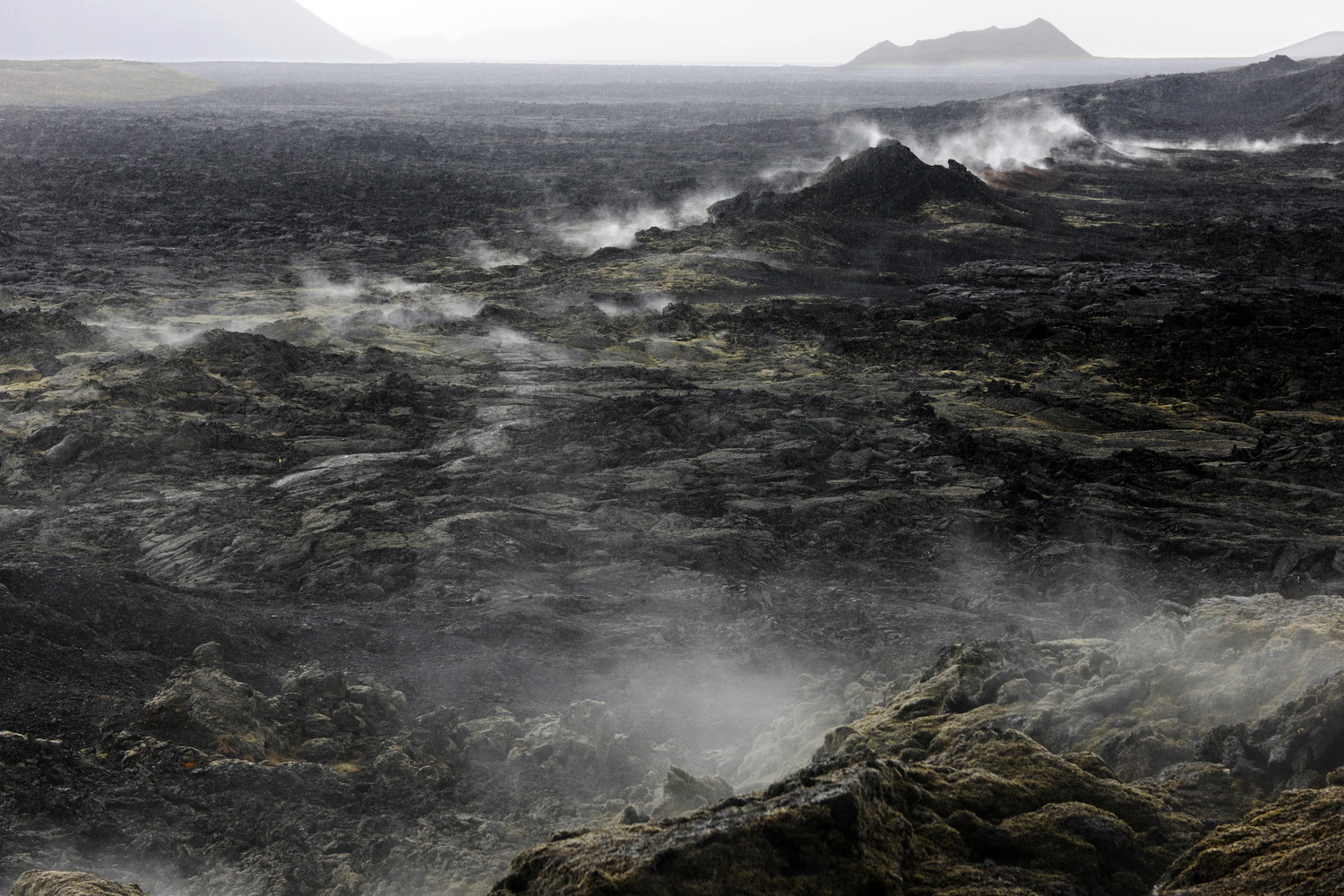 Dolph Kessler - Extreme landschappen,  2015 