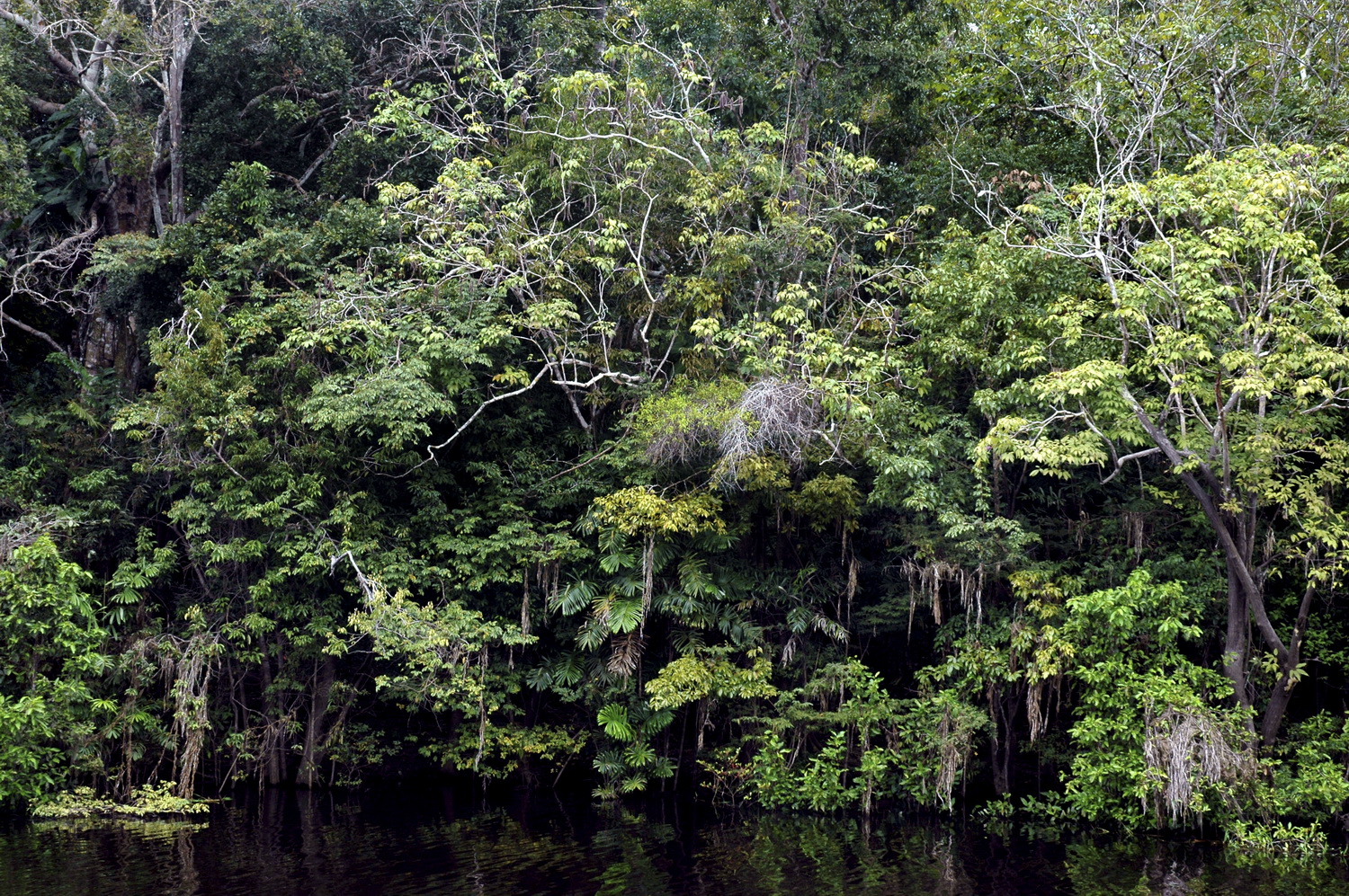 Dolph Kessler - Extreme landschappen,  2015 