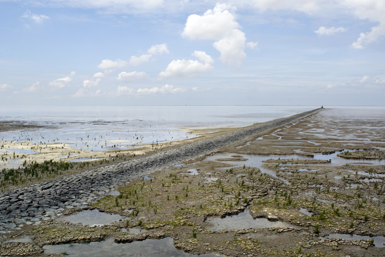 Dolph Kessler - Extreme landschappen,  2015 