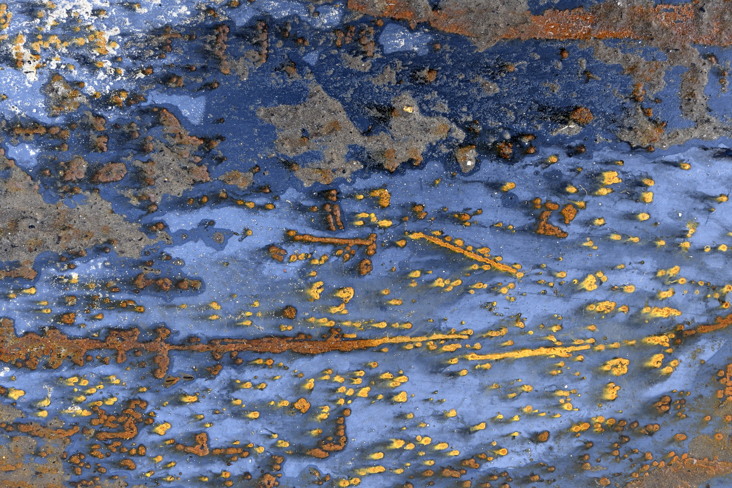 Dolph Kessler - Ready Mades Frisian Landscape 