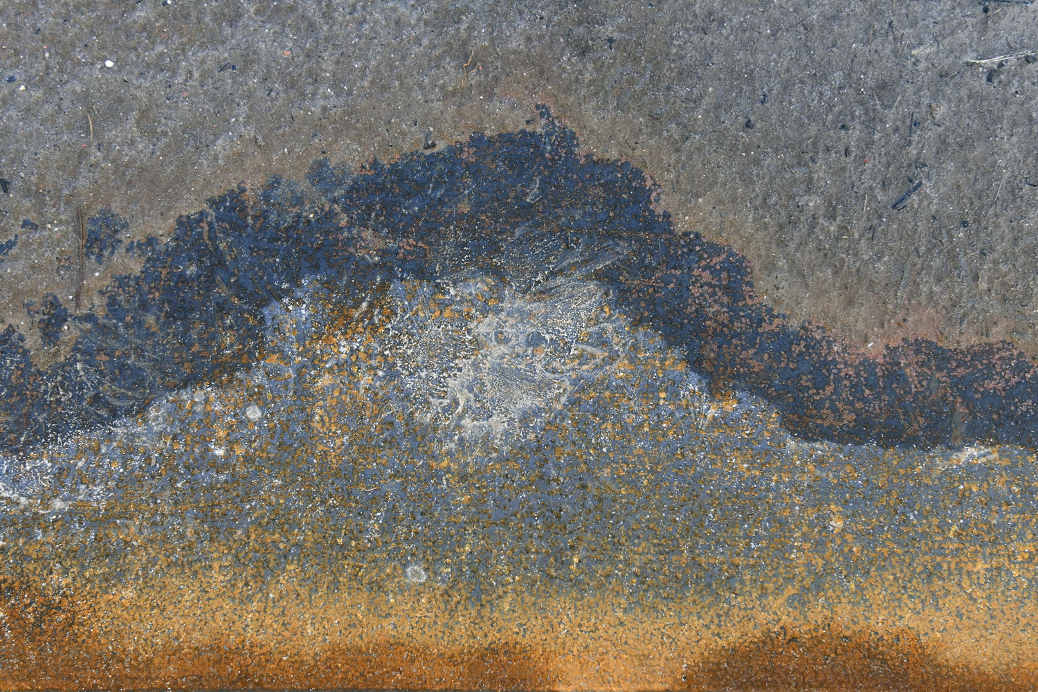 Dolph Kessler - Ready Mades Frisian Landscape 