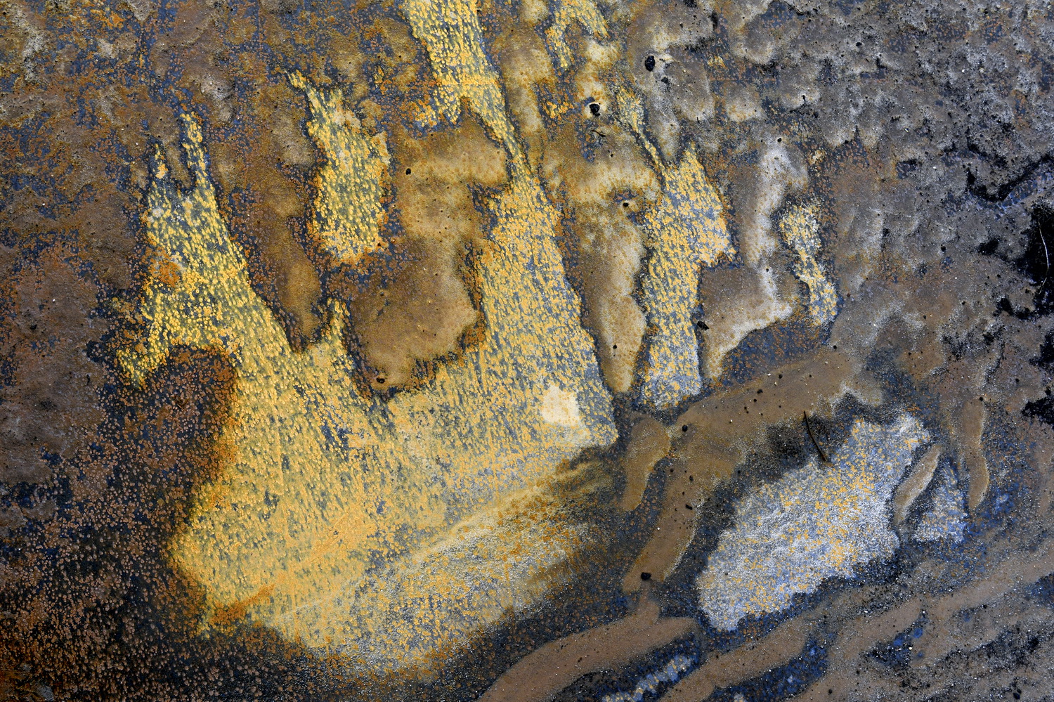 Dolph Kessler - Ready Mades Frisian Landscape 