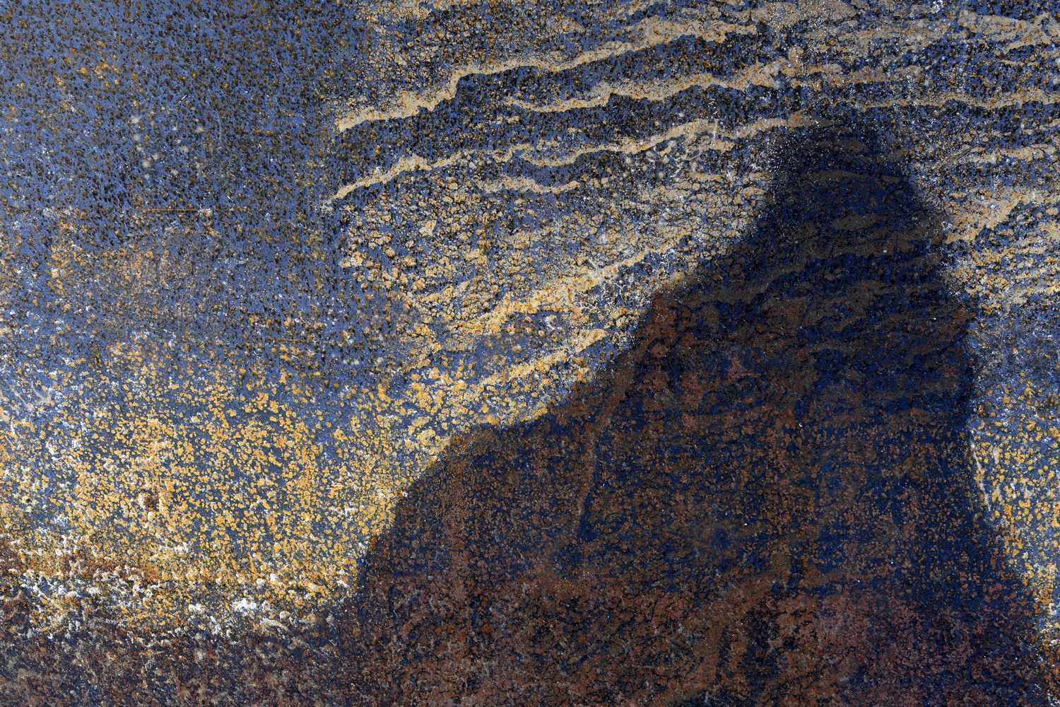 Dolph Kessler - Ready Mades Frisian Landscape 