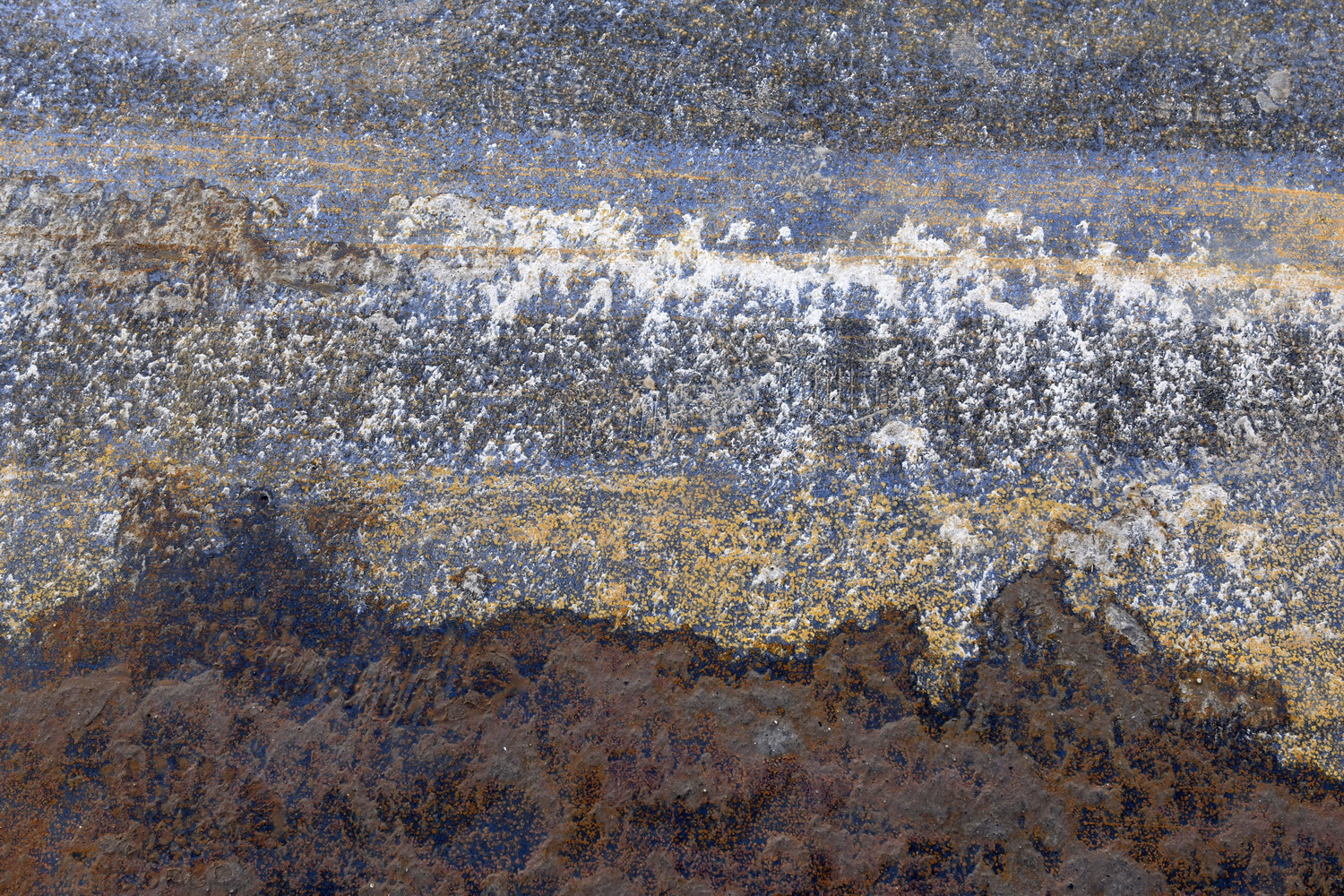 Dolph Kessler - Ready Mades Frisian Landscape 