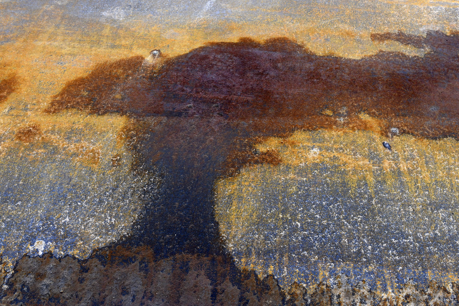 Dolph Kessler - Ready Mades Frisian Landscape 