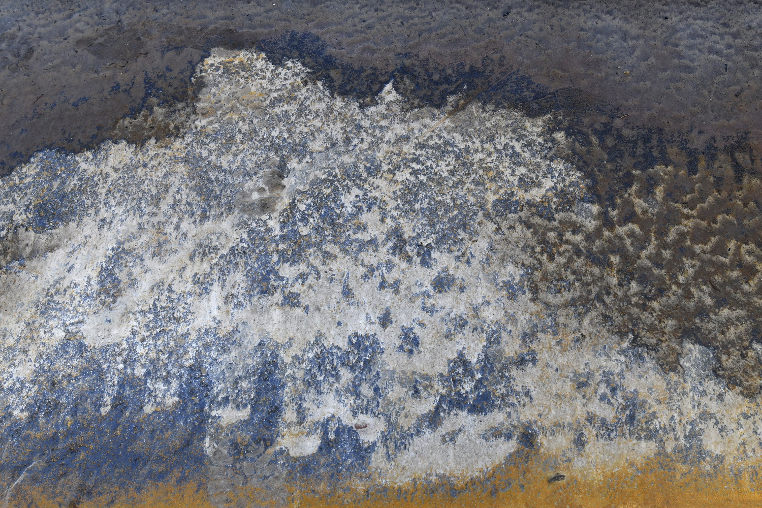 Dolph Kessler - Ready Mades Frisian Landscape 