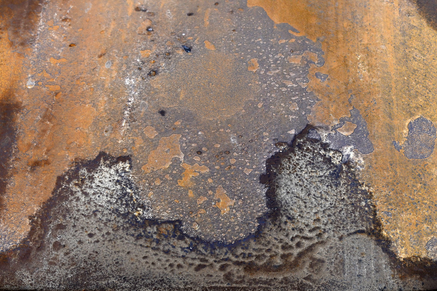 Dolph Kessler - Ready Mades Frisian Landscape 