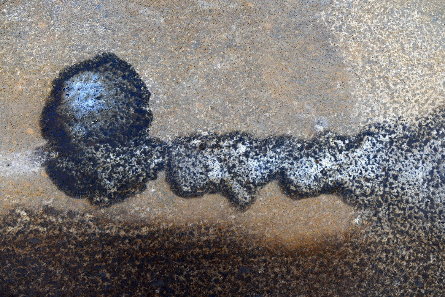 Dolph Kessler - Ready Mades Frisian Landscape 