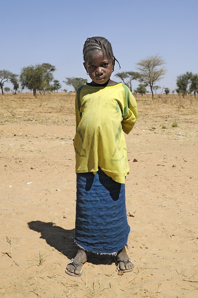 Dolph Kessler - Children of the Dogon, 2011 