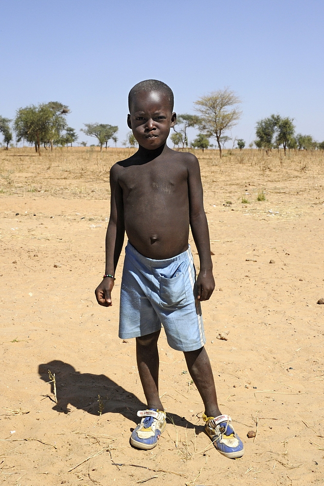 Dolph Kessler - Children of the Dogon - 2011 